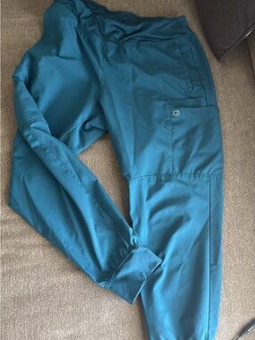 WonderWink Teal Men's Jogger Pants